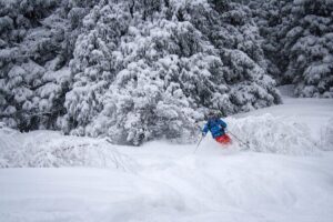 1-day Backcountry Tour - Pickup, Meeting Point, and What the 8:00 Start Means