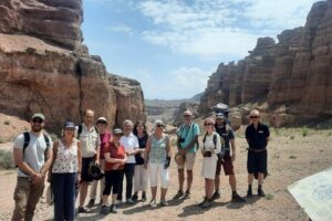 1 Day Group Tour to Charyn Canyon, Kolsay Lake and Kaindy Lake - Kaindy Lake’s Flooded Forest: What to Expect