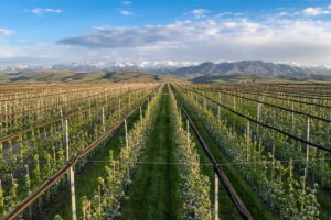 Almaty City: Big Almaty Lake Roundtrip Transfer and Tour - Who should book this tour, and who should pick something else