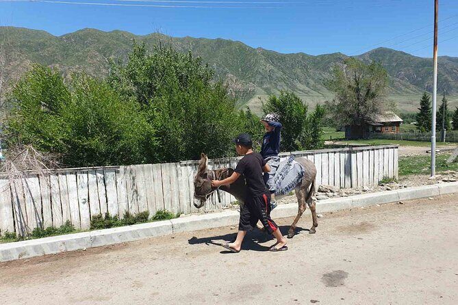 Almaty Region 3 Days Tour from Almaty - Altyn-Emel National Park: Aktau and Katutau for dramatic rock views