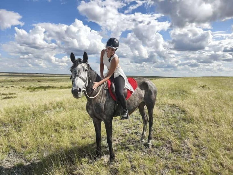 Astana: 2-Day 1-Night Ranch Stay & Tour Historic Mausoleum - Day One at Taiburyldyn Shabysy: From Horse Feeding to the Mausoleum