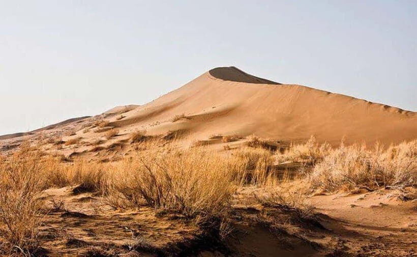 One Day Tour to Altyn-Emel: Singing Dune and Aktau Mountain - Basshi village breaks: breakfast, orientation, and the 700-year-old willow