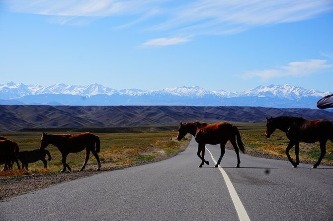 Private tour Almaty Region 3 days with Silktravel - Why this Almaty Golden Circle route works