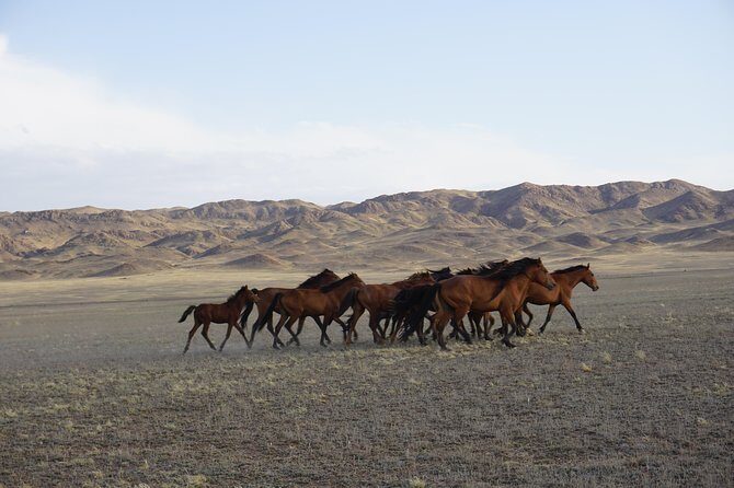 Private tour Almaty Region 3 days with Silktravel - Day 1: Kapshagai reservoir to Altyn-Emel’s white and frozen mountains